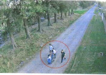 Detenido el Asesino de la Silla de Ruedas en Moreno: Avances en la Investigación