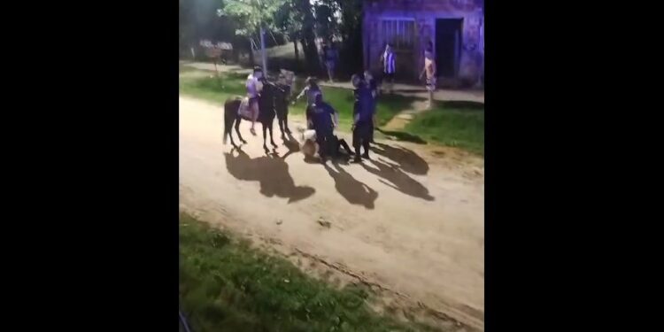 Hasta con un caballo: detienen a un hombre que intentó esconderse en el techo de una casa en Alejandro Korn