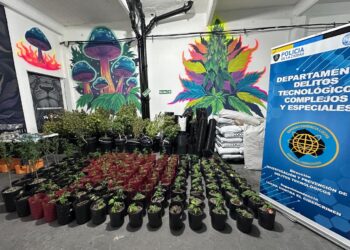 CABA: Vendían “dulces mágicos” por redes sociales y terminaron presos