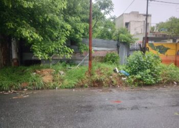 AHORA| La Plata: hallaron abandonado a un bebé de seis días de vida