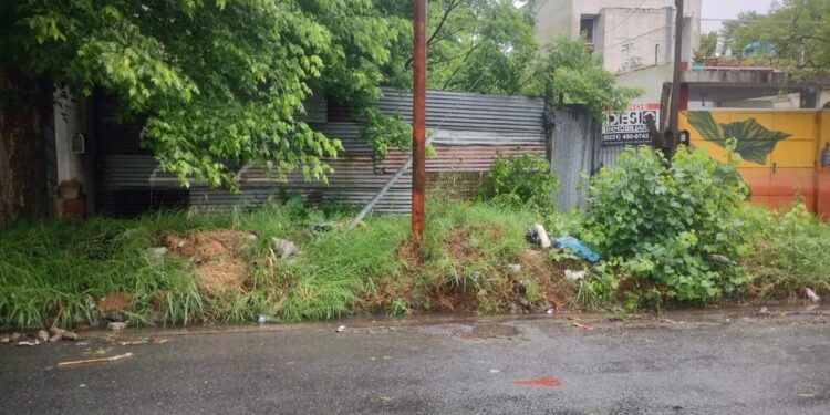 AHORA| La Plata: hallaron abandonado a un bebé de seis días de vida