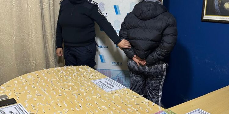 Una mujer detenida y un punto de venta de drogas menos en Quilmes