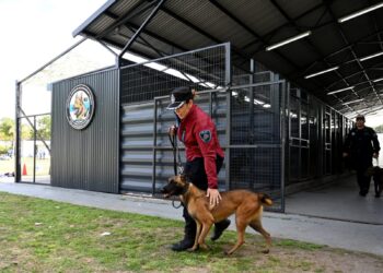 Capacitaron en la Ciudad a fuerzas nacionales e internacionales en búsqueda con canes