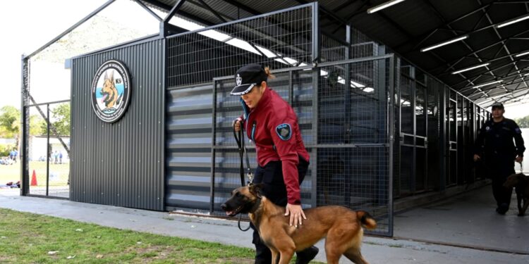 Capacitaron en la Ciudad a fuerzas nacionales e internacionales en búsqueda con canes