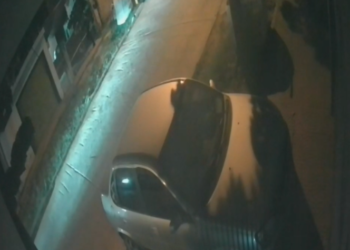 Borrador automático