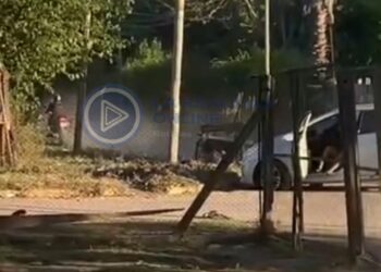 Tiroteo y persecución en Merlo: un sospechoso murió y otros dos fueron detenidos